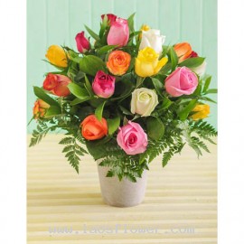20 Colorful Roses